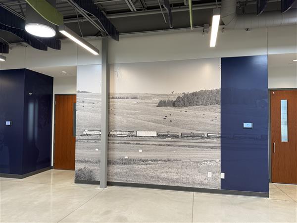 graphic wall